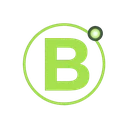 BillionaireSpin Casino Logo